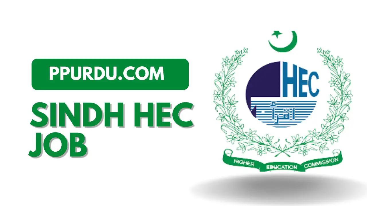 Sindh HEC Job 2022